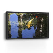 Coyo Canvas Wall Art