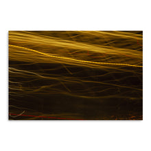 Lights Canvas Wall Art