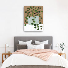 Still Life Peperomia