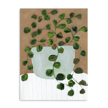 Still Life Peperomia