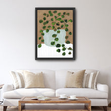 Still Life Peperomia