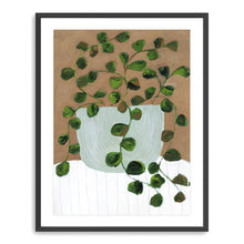 Still Life Peperomia