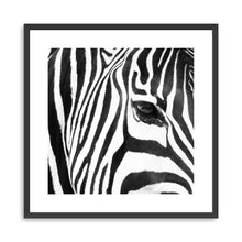 Zebra Up Close