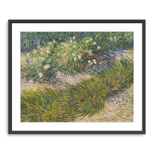 Grass and Butterflies, 1887 by Vincent Van Gogh