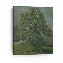 Horse Chestnut Tree in Blossom, 1887 by Vincent Van Gogh