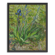 Iris, 1889 by Vincent Van Gogh