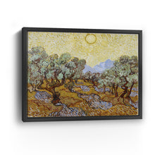 Olive Trees, 1889 by Vincent Van Gogh