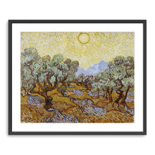 Olive Trees, 1889 by Vincent Van Gogh