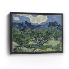 Olive Trees with the Alpilles in the Background, 1889 by Vincent Van Gogh