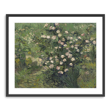 Roses, 1889 by Vincent Van Gogh