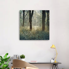 Morning in the Forest