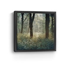 Morning in the Forest