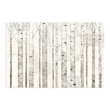 Birch Trees on White
