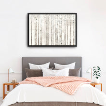 Birch Trees on White