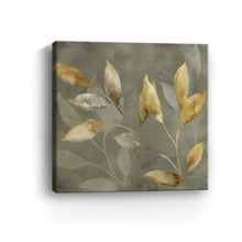 Leaves on Grey