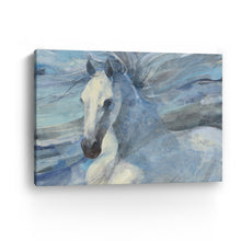 Poseidon Indigo