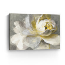 Abstract Rose