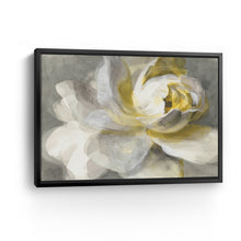 Abstract Rose
