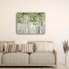 Evergreen Forest