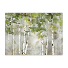Evergreen Forest