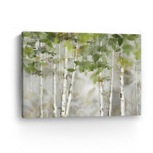 Evergreen Forest