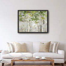 Evergreen Forest