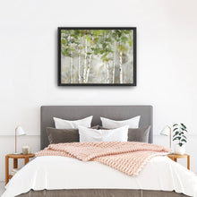 Evergreen Forest