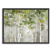 Evergreen Forest