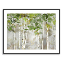 Evergreen Forest