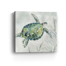 Seaglass Turtle I