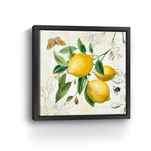 Linen Lemons