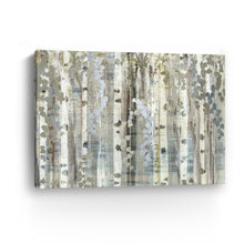Birch Wood Meadow