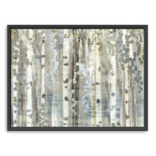 Birch Wood Meadow