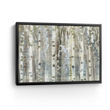 Birch Wood Meadow