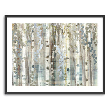 Birch Wood Meadow