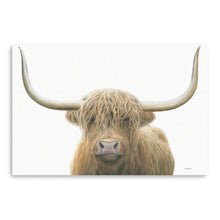 Highland Cow on White