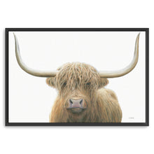 Highland Cow on White