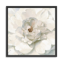 Neutral Peony