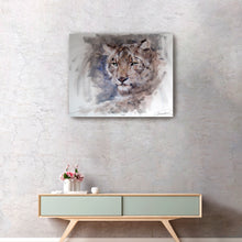 Snow Leopard Stare