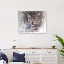 Snow Leopard Stare