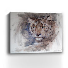 Snow Leopard Stare