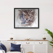 Snow Leopard Stare