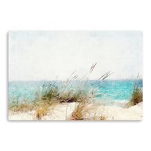 Coastal Series X