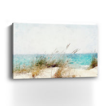 Coastal Series X