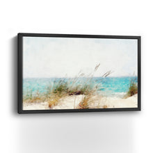 Coastal Series X