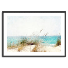 Coastal Series X