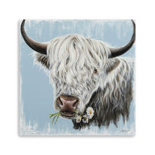 Daisy Coo