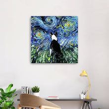 Boston Terrier