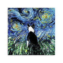 Boston Terrier