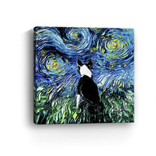 Boston Terrier
